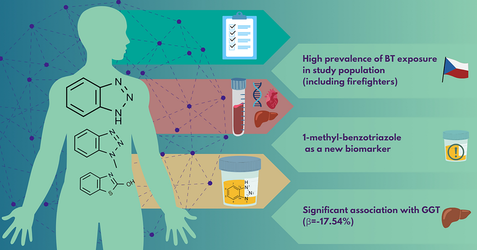 Exposure to benzotriazoles and benzothiazoles in Czech male population and its associations with biomarkers of liver function, serum lipids and oxidative stress