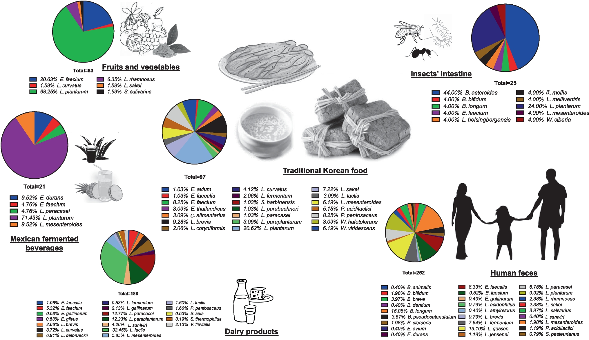 Identification of safe putative probiotics from various food products