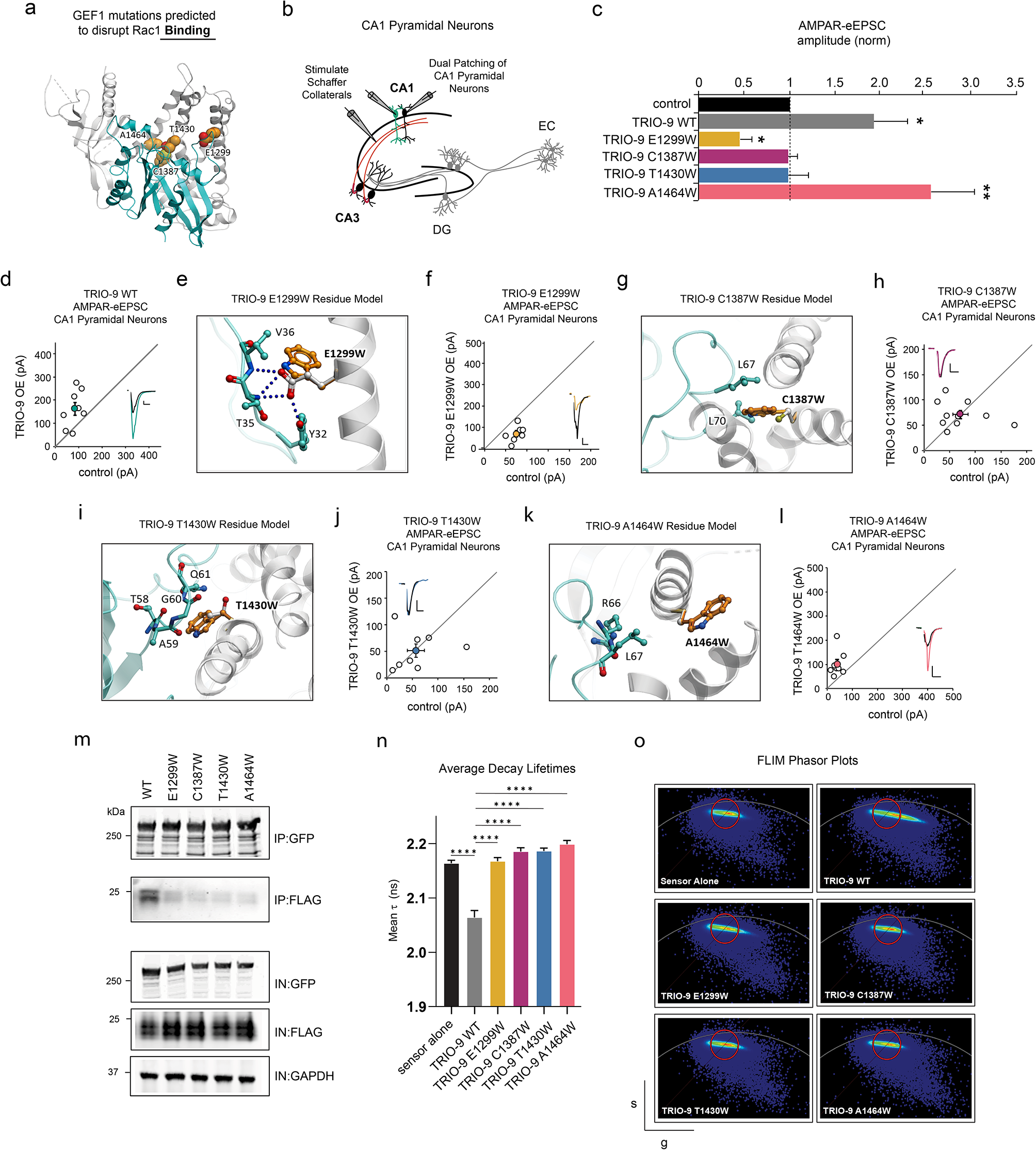 Detection of autism spectrum disorder-related pathogenic trio variants by a novel structure-based approach