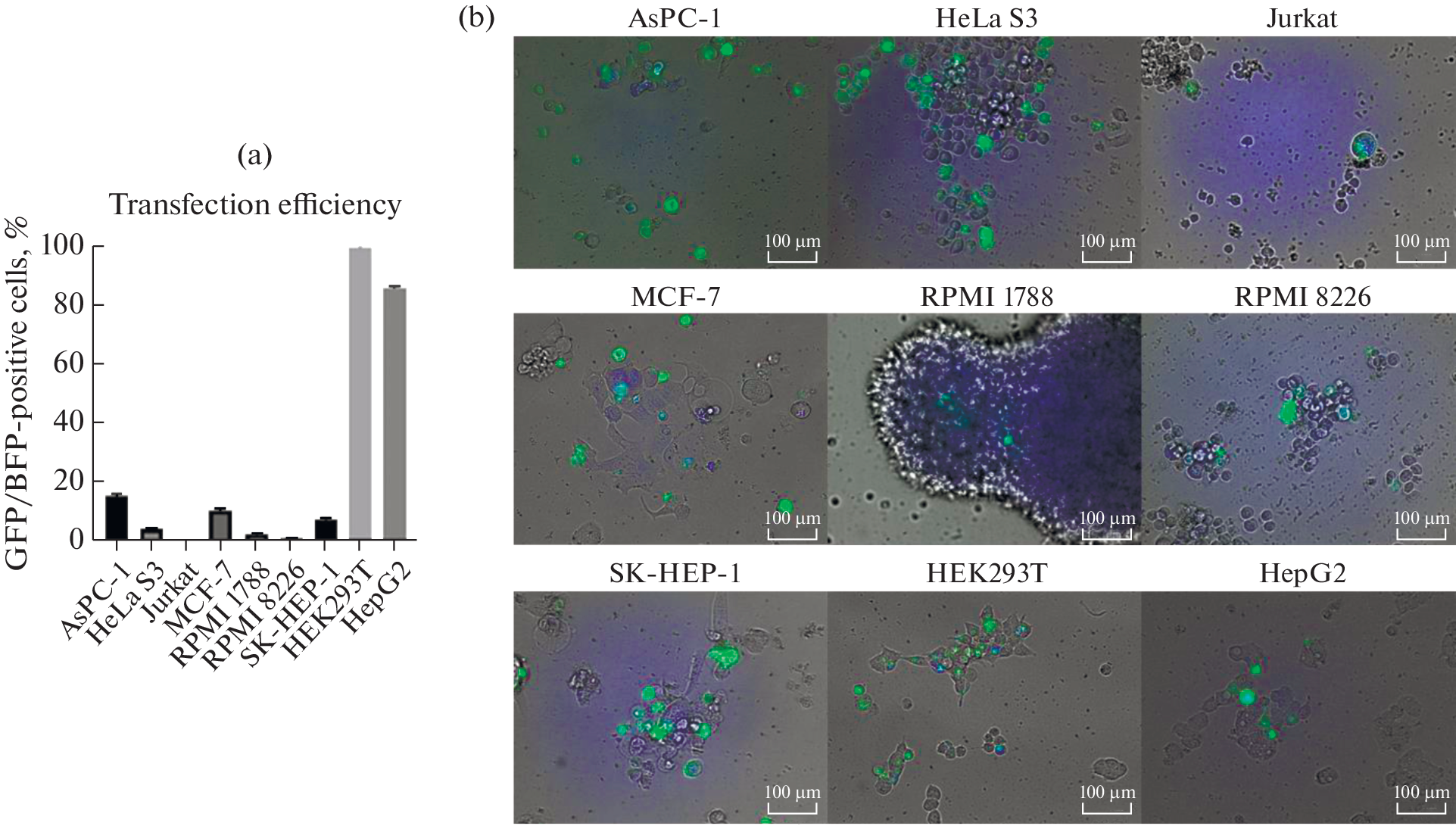Stochastic Packaging of Cas Proteins into Exosomes