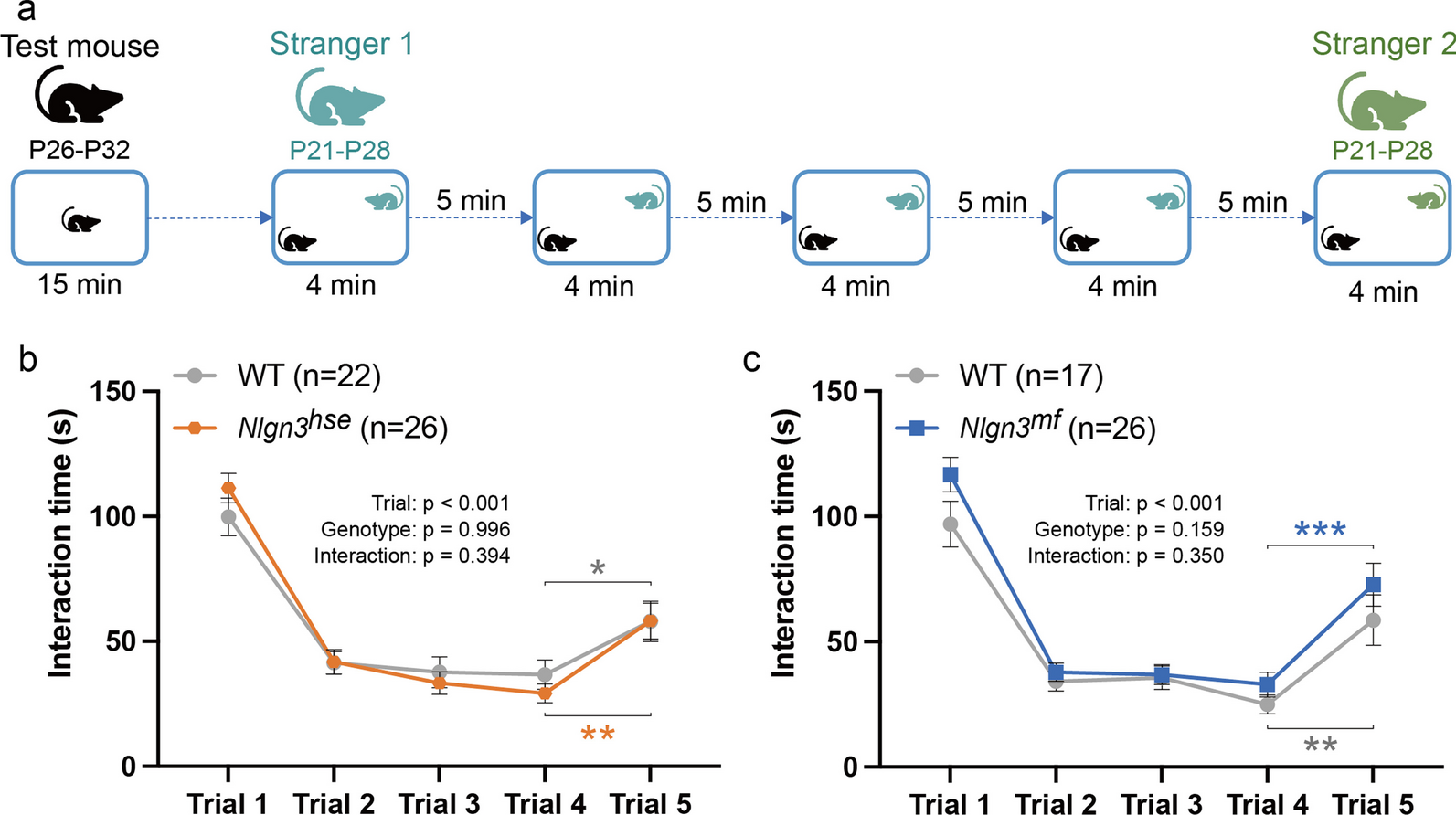 Differential contribution of canonical and noncanonical NLGN3 pathways to early social development and memory performance