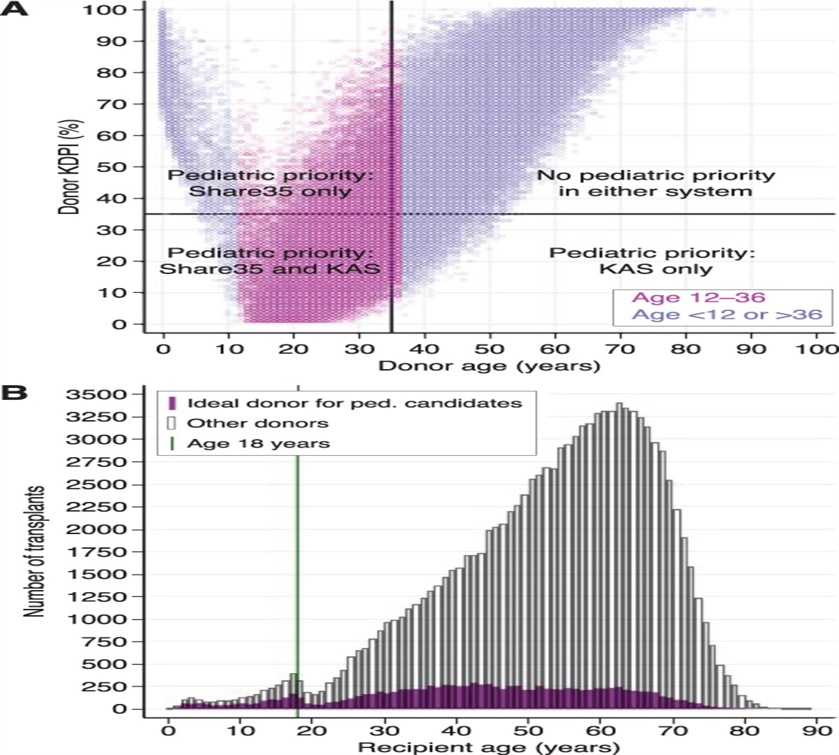 Embracing Complexity to Better Serve Pediatric Kidney Transplant Recipients