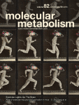 Corrigendum to “Lack of Gαi2 proteins in adipocytes attenuates diet-induced obesity” [Mol Metab 40 (2020 Oct) 101029]