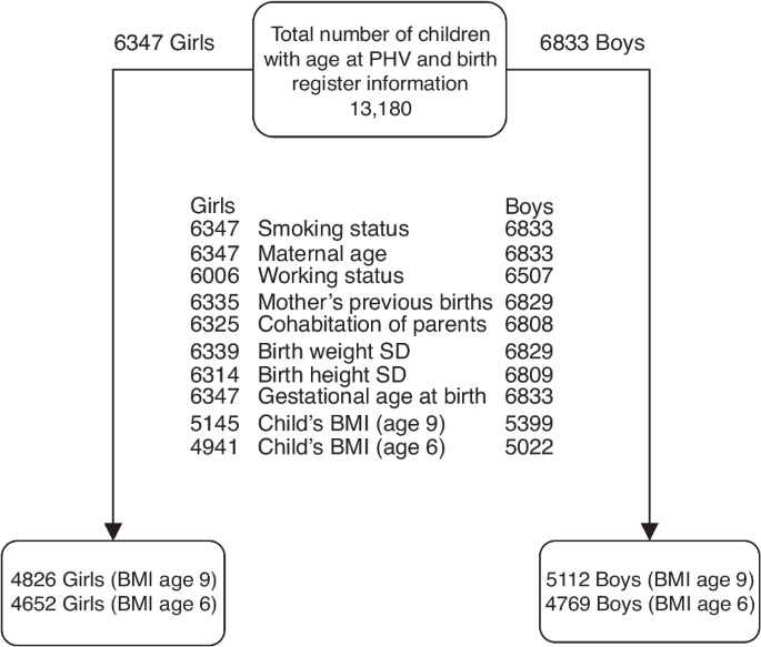 Prenatal, newborn and childhood factors and the timing of puberty in boys and girls