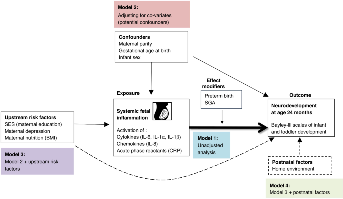 Perinatal inflammation, fetal growth restriction, and long-term neurodevelopmental impairment in Bangladesh