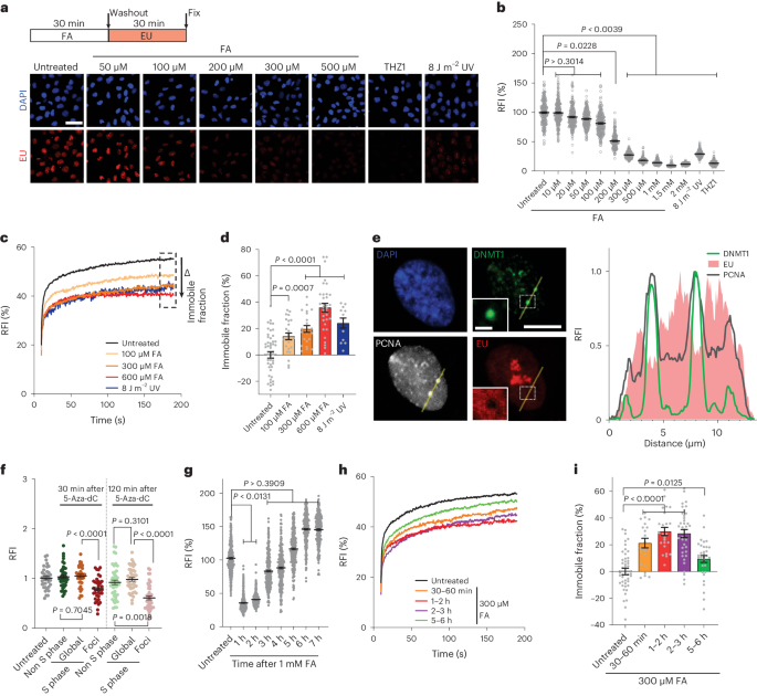 Transcription-coupled DNA–protein crosslink repair by CSB and CRL4CSA-mediated degradation