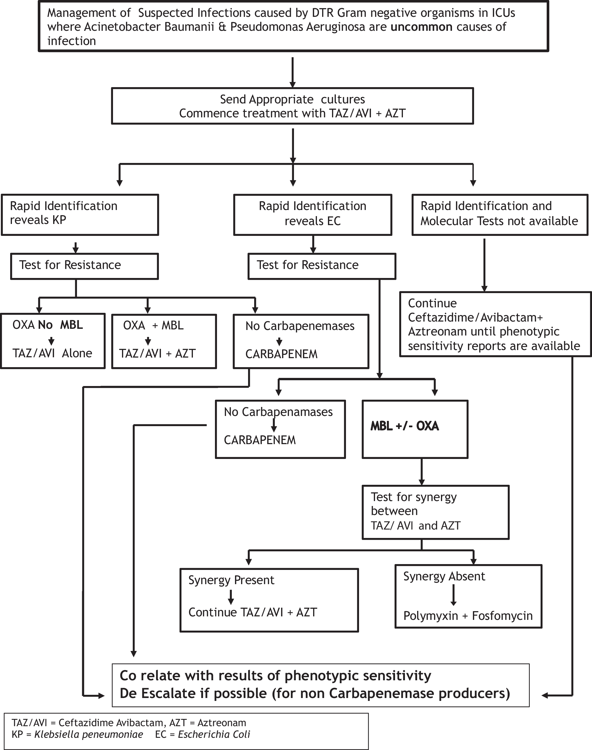 Difficult to Treat Gram-Negative Bacteria—The Indian Scenario