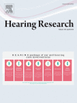 Motor, somatosensory, and executive cortical areas elicit monosynaptic and polysynaptic neuronal activity in the auditory midbrain
