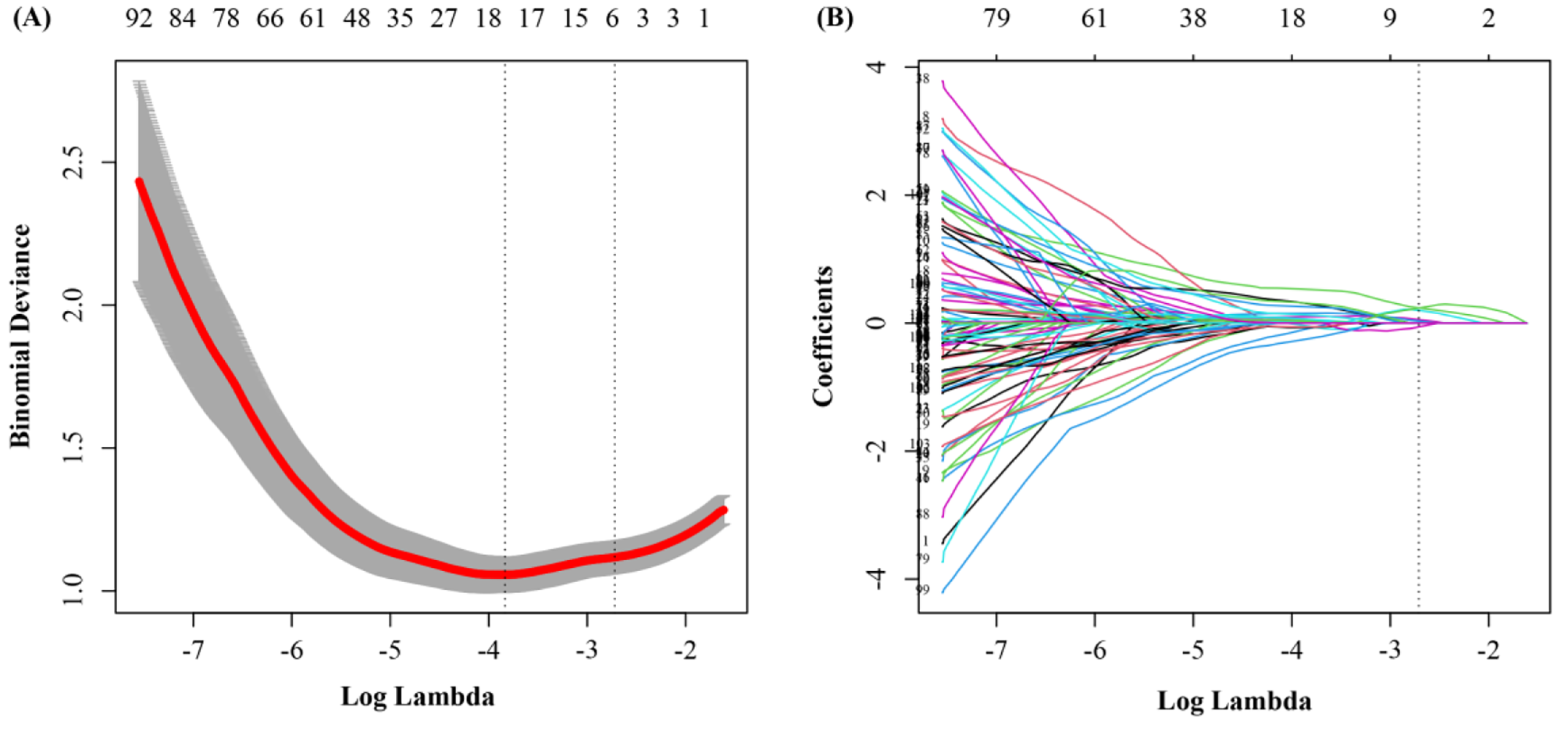 Ultrasound radiomics signature for predicting central lymph node metastasis in clinically node-negative papillary thyroid microcarcinoma