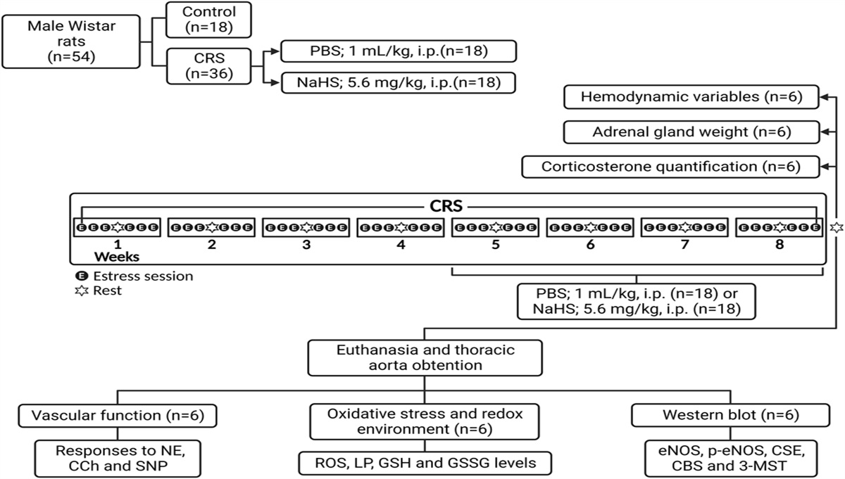 Sodium Hydrosulfide Reverts Chronic Stress–Induced Cardiovascular Alterations by Reducing Oxidative Stress