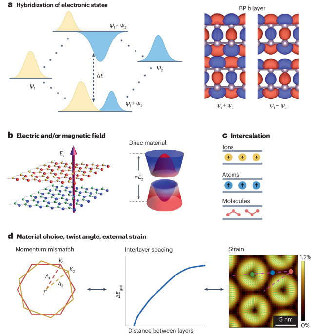 Engineering interlayer hybridization in van der Waals bilayers