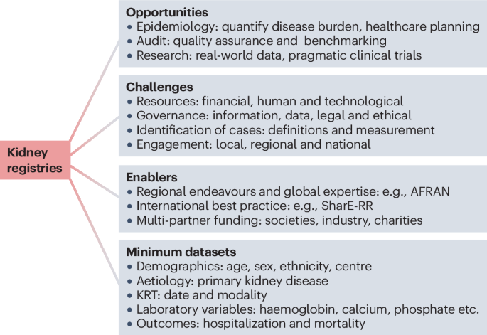 The global landscape of kidney registries: immense challenges and unique opportunities
