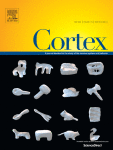Noninvasive- and invasive mapping reveals similar language network centralities – A function-based connectome analysis