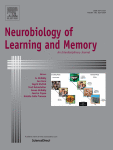 Bayesian reinforcement learning: A basic overview
