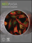 Corrigendum to ‘Androgen receptor degraders overcome common resistance mechanisms developed during prostate cancer treatment’ Neoplasia, Volume 22, Issue 2 (2020) 111–119