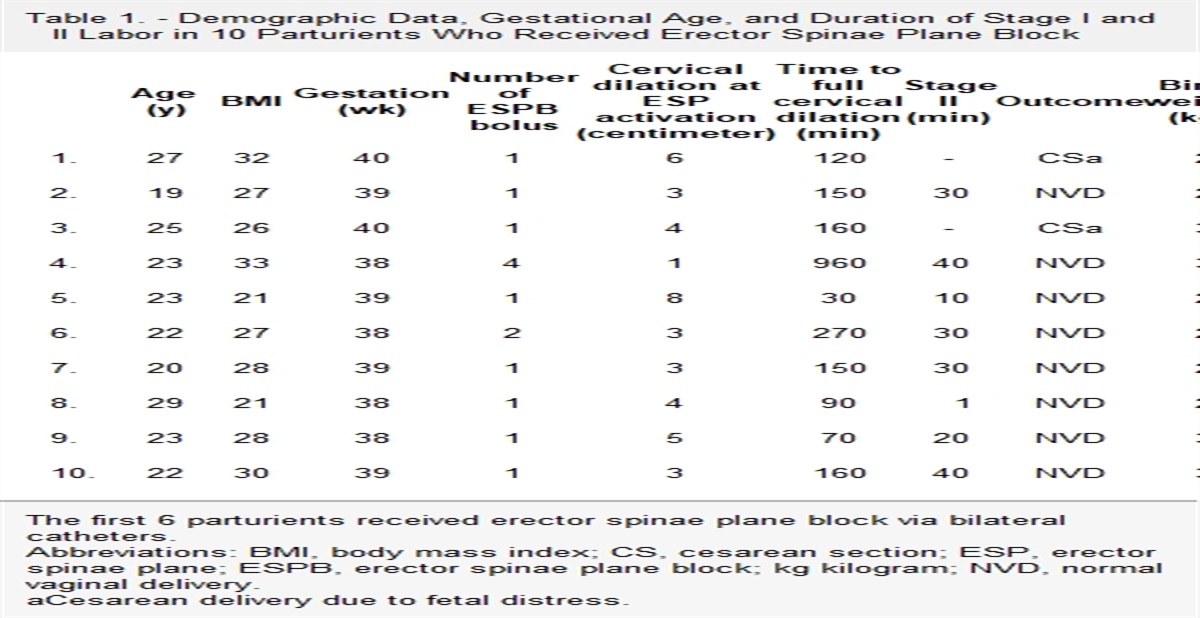 Erector Spinae Plane Block for Providing Labor Analgesia in a Rural Health Care Setting in India: A Case Series