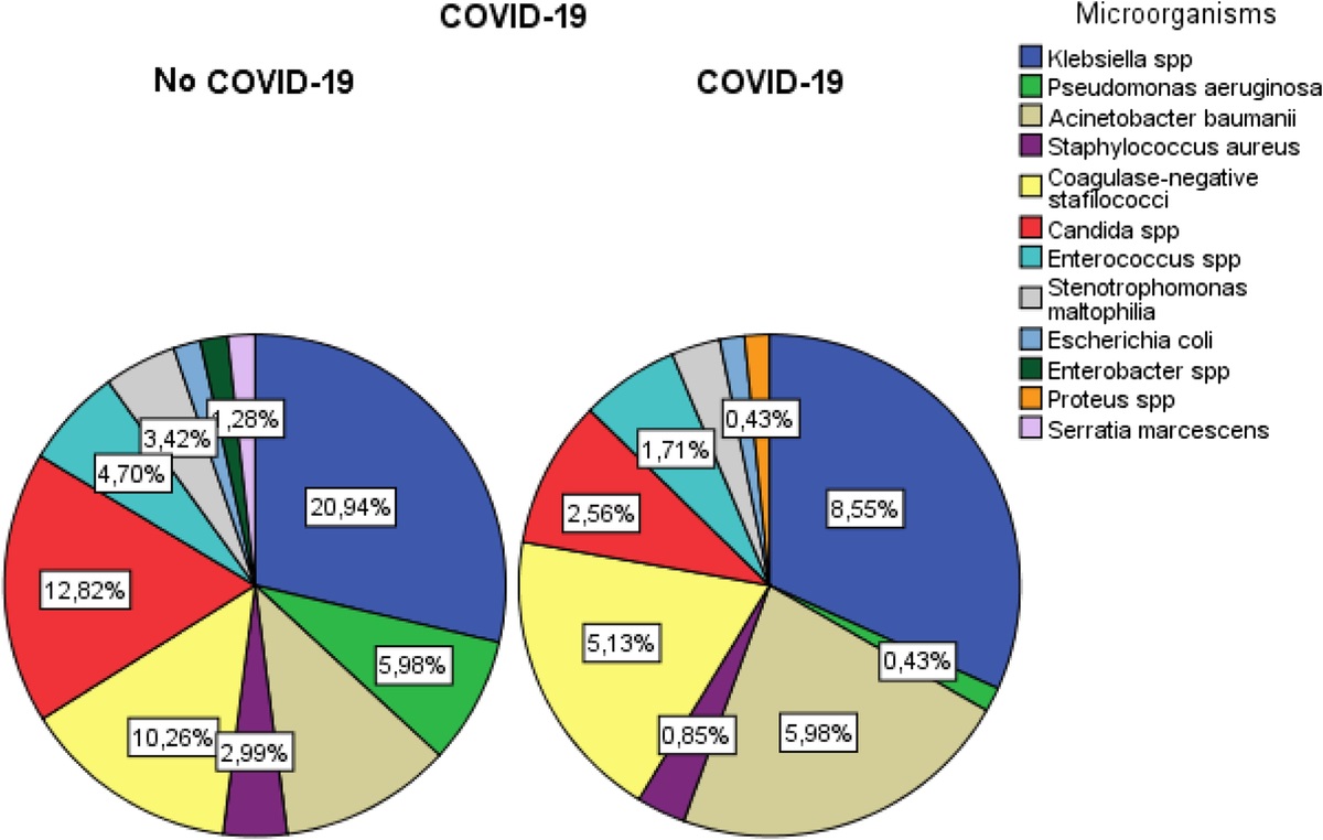 The Impact of Secondary Catheter-Related Bloodstream Infection on the Course of COVID-19 Infection