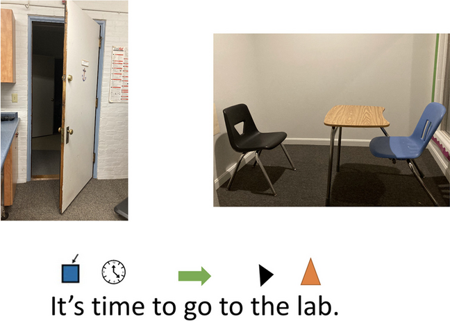 Using the Listening2Faces App with Three Young Adults with Autism: A Feasibility Study