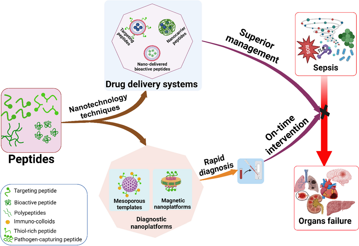 Applications of peptides in nanosystems for diagnosing and managing bacterial sepsis
