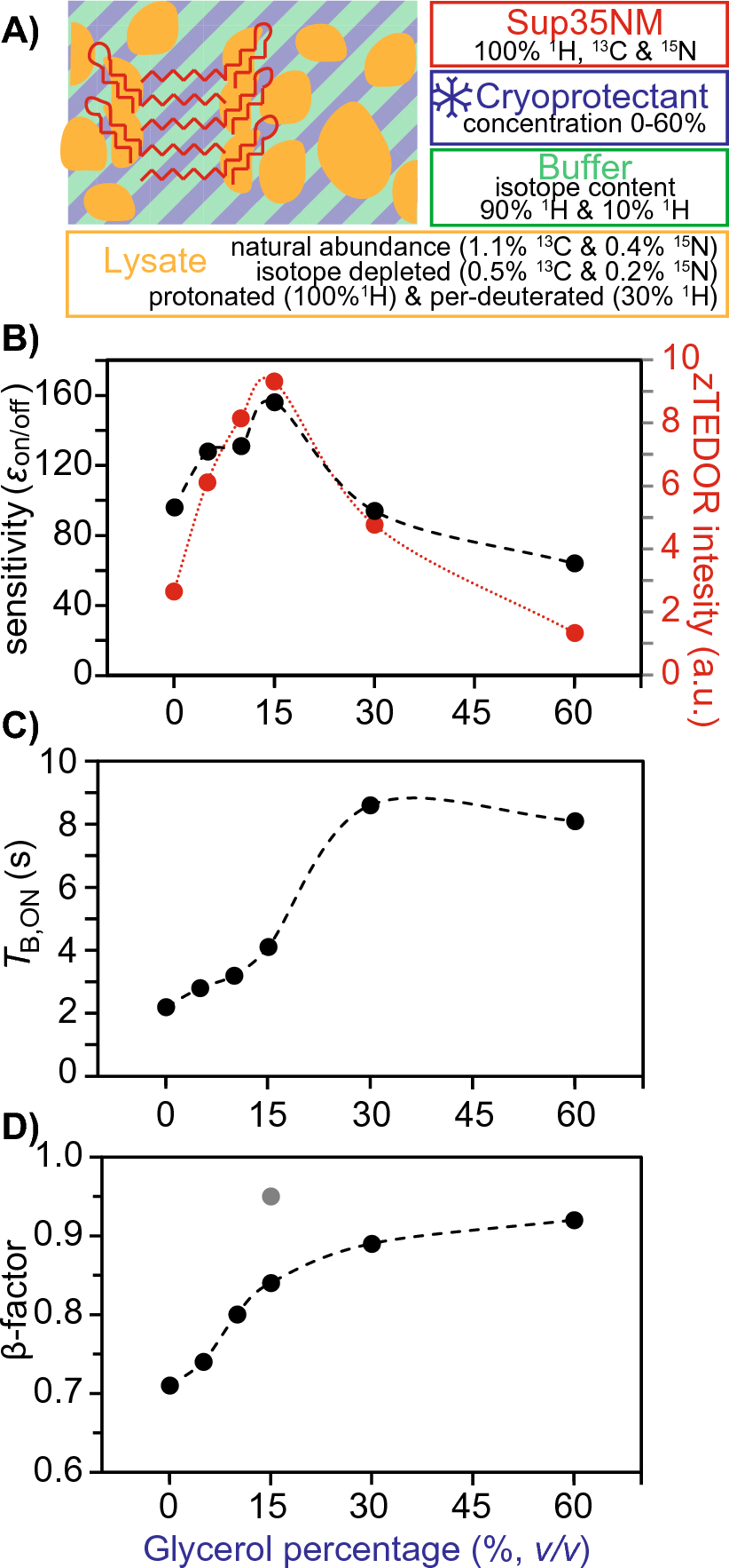 DNP-assisted solid-state NMR enables detection of proteins at nanomolar concentrations in fully protonated cellular milieu