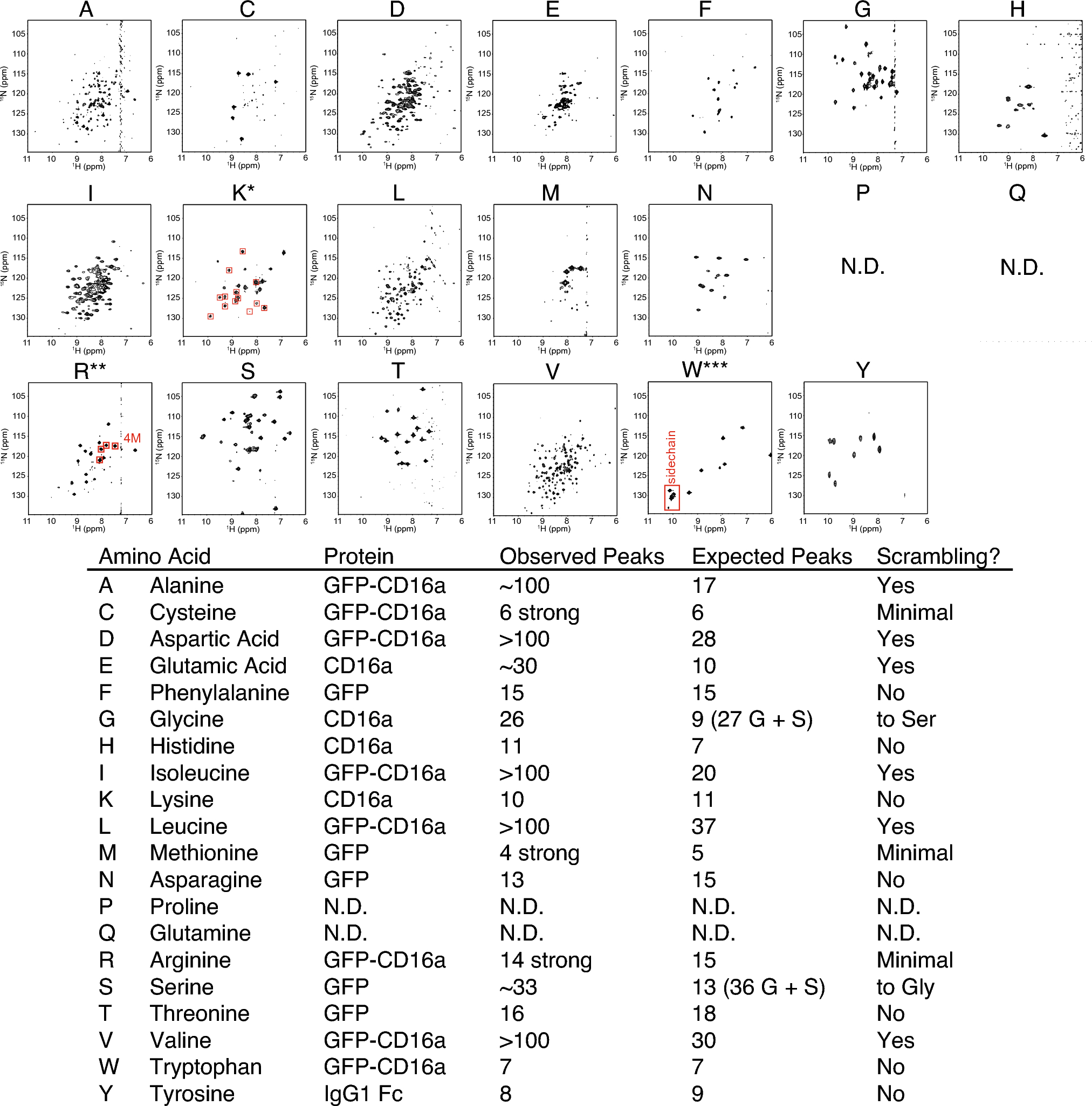 A comprehensive assessment of selective amino acid 15N-labeling in human embryonic kidney 293 cells for NMR spectroscopy