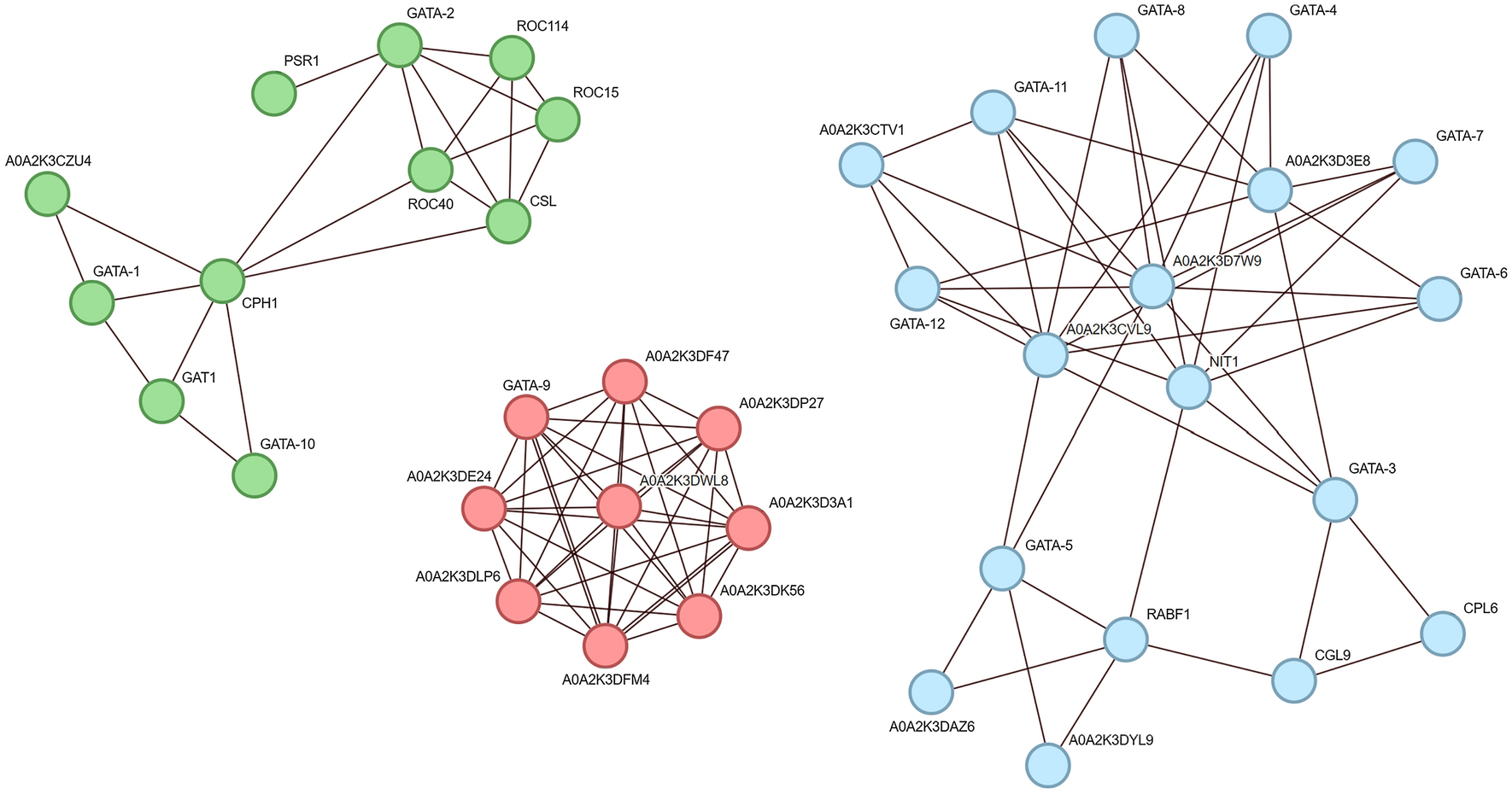 GATA family transcription factors in alga Chlamydomonas reinhardtii