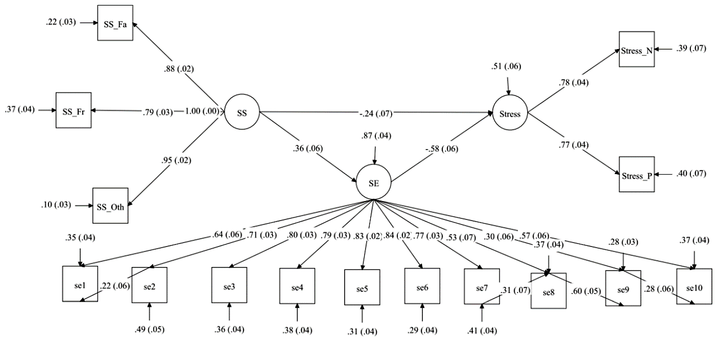 Mediating Role of Self-Efficacy in the Relationship Between Social Support and Perceived Stress Among Caregivers of Older Patients Under Hemodialysis