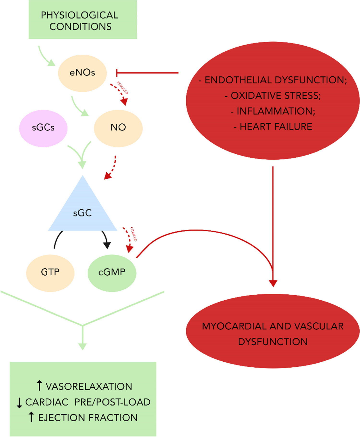 Cardiovascular Effects of Stimulators of Soluble Guanylate Cyclase Administration: A Meta-analysis of Randomized Controlled Trials