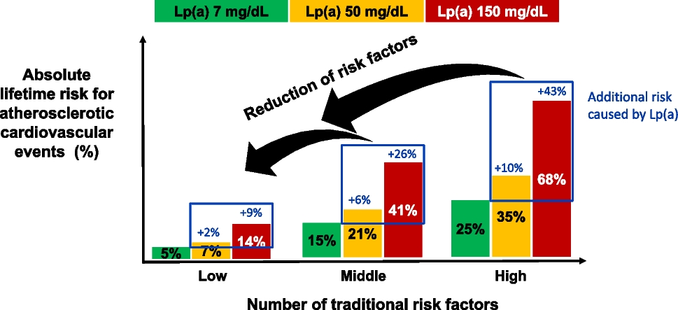 Lipoprotein(a): from Causality to Treatment