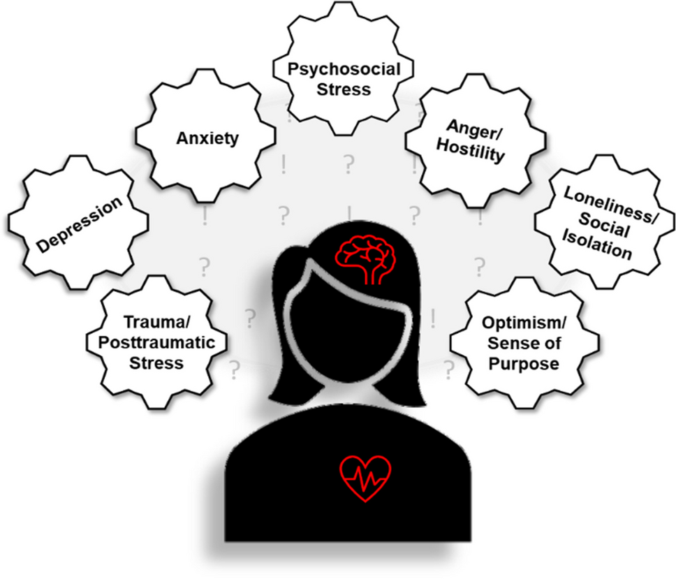 Psychological Health and Ischemic Heart Disease in Women: A Review of Current Evidence and Clinical Considerations across the Healthspan