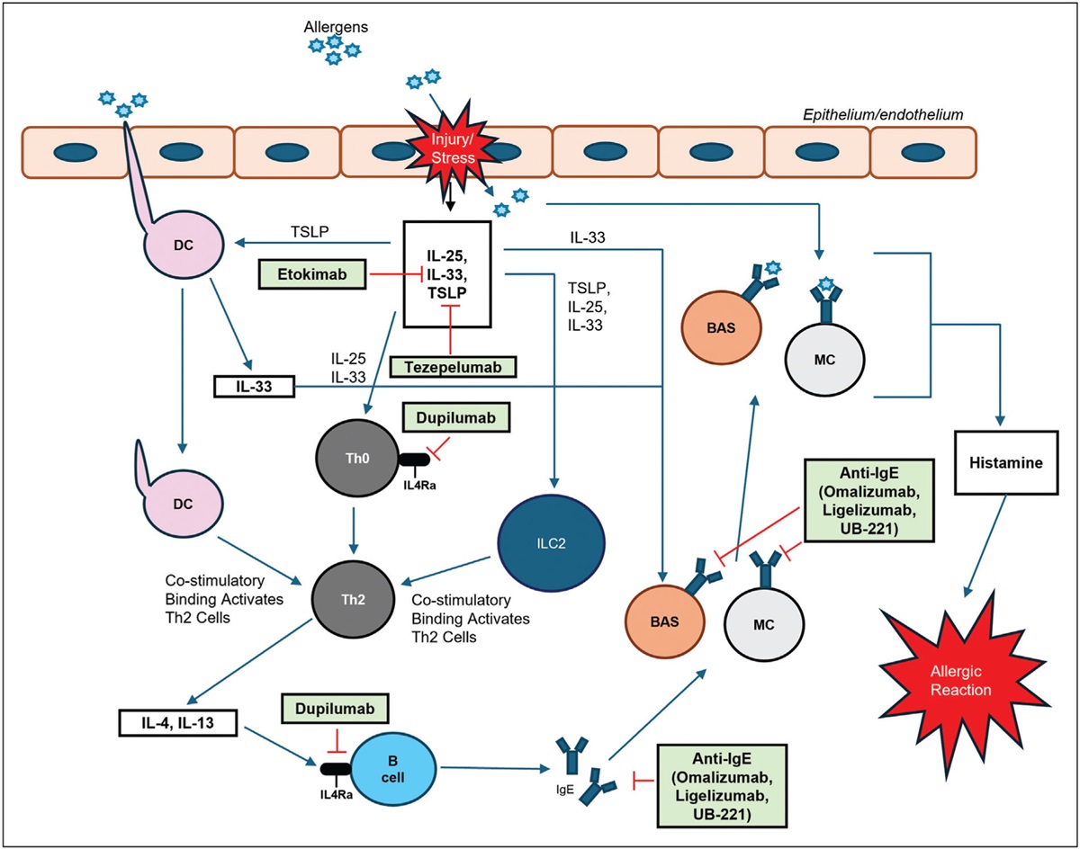 New biologics for food allergy