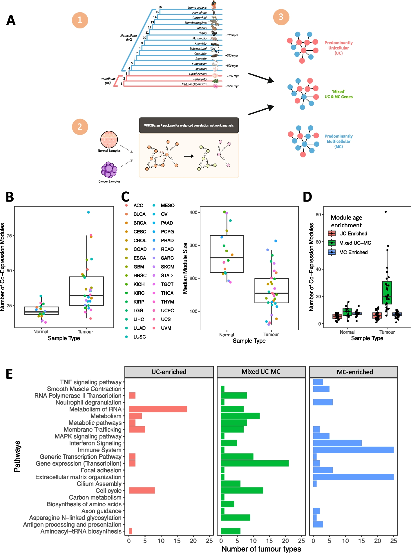 Disruption of metazoan gene regulatory networks in cancer alters the balance of co-expression between genes of unicellular and multicellular origins