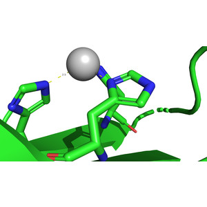 A database overview of metal-coordination distances in metalloproteins