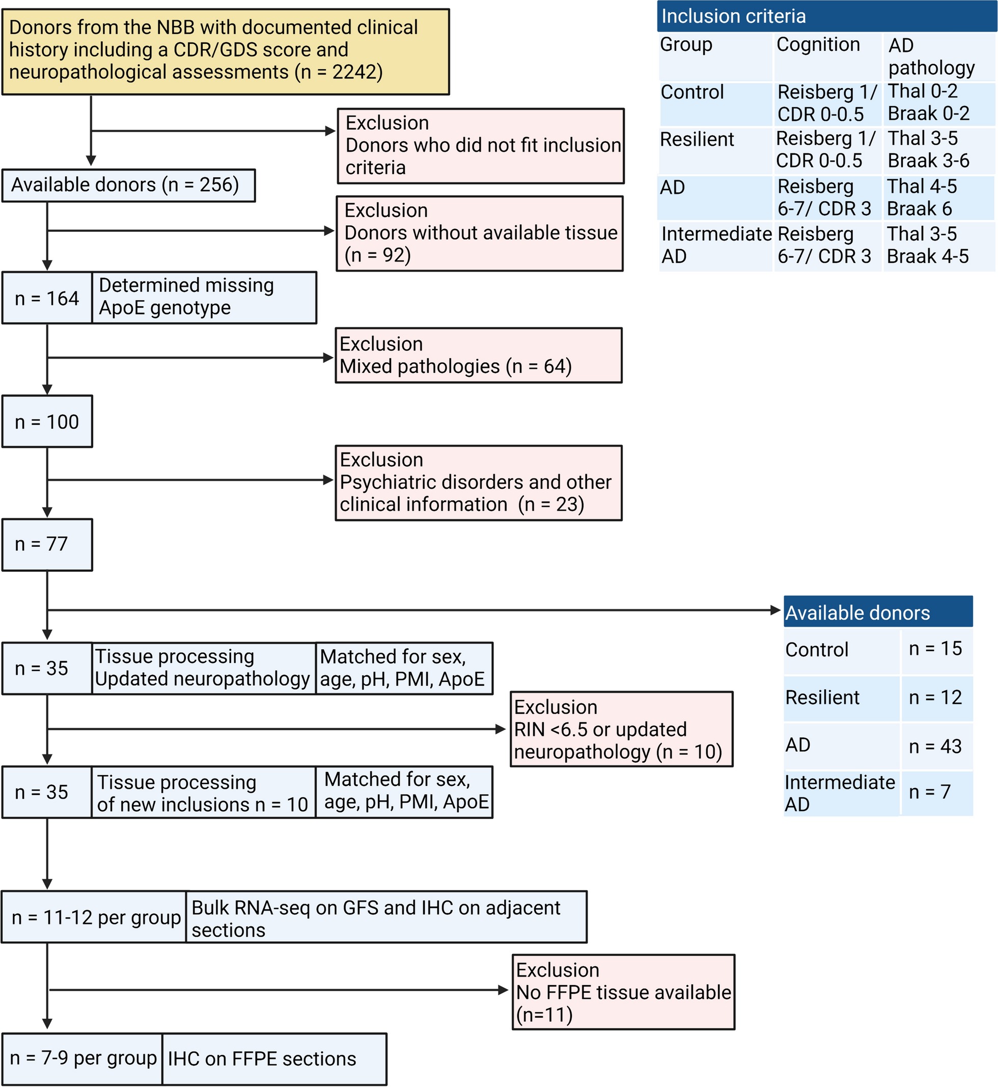 Gene-expression profiling of individuals resilient to Alzheimer's disease reveals higher expression of genes related to metallothionein and mitochondrial processes and no changes in the unfolded protein response