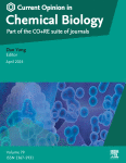 Fluorogenic polymethine dyes by intramolecular cyclization