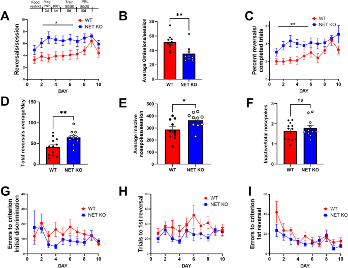 Enhanced cognitive flexibility and phasic striatal dopamine dynamics in a mouse model of low striatal tonic dopamine
