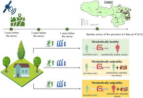 Associations between residential greenness and obesity phenotypes among adults in Southwest China