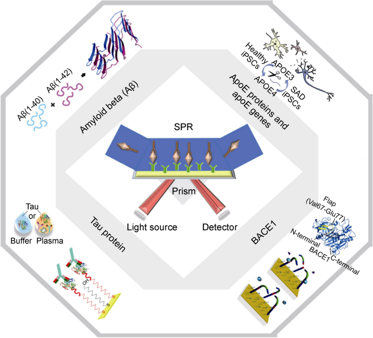 Assay of Biomarkers for Alzheimer’s Disease by Surface Plasmon Resonance