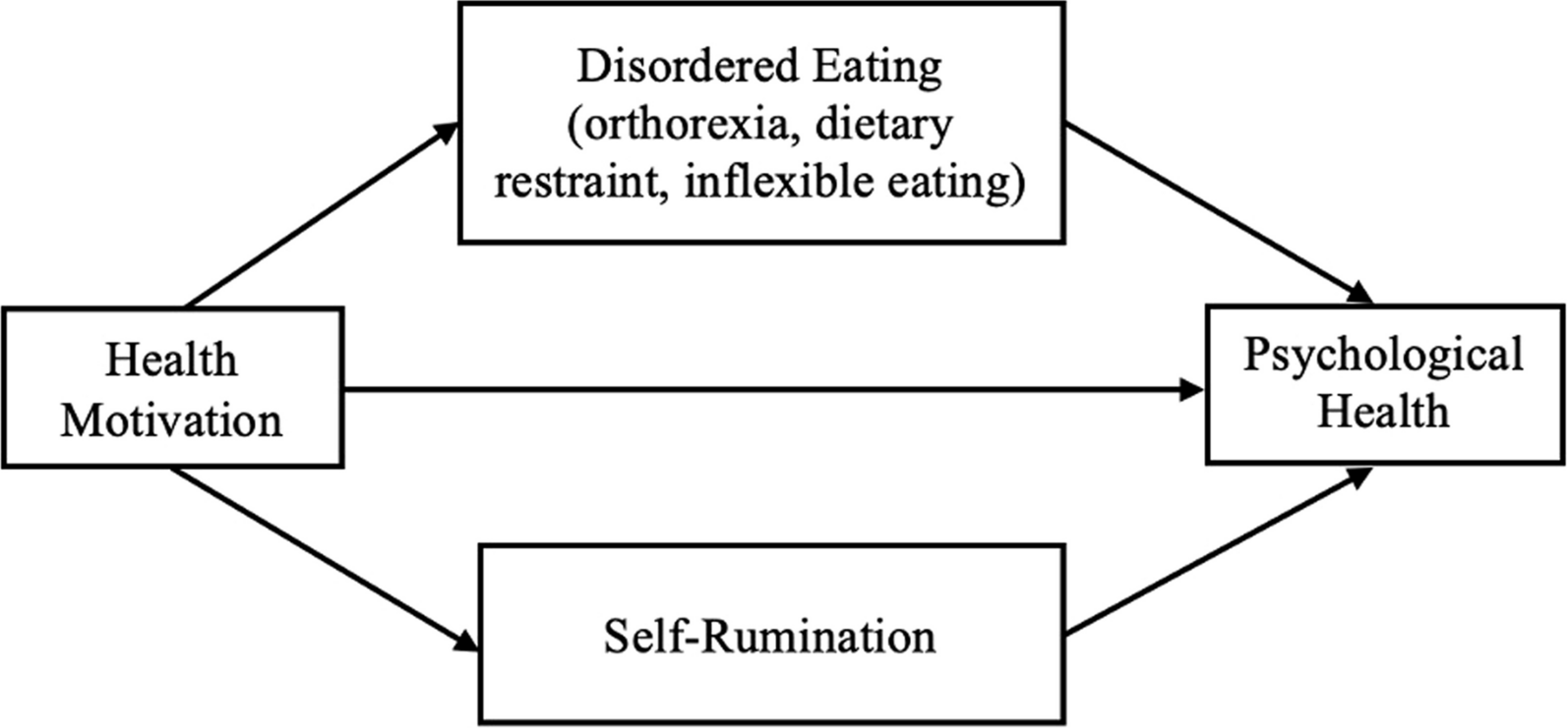Motivations matter: moral and health-related motives indirectly relate to differential psychological health indicators among vegetarians