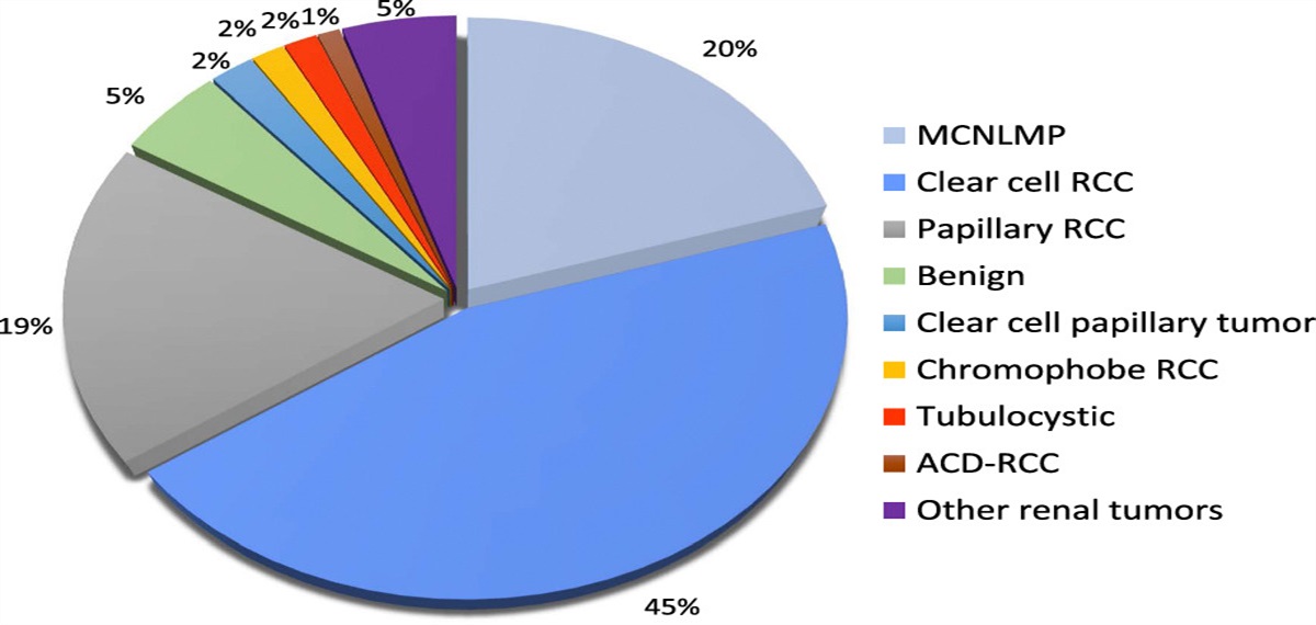Cystic Features in Renal Epithelial Neoplasms and Their Increasing Clinical and Pathologic Significance