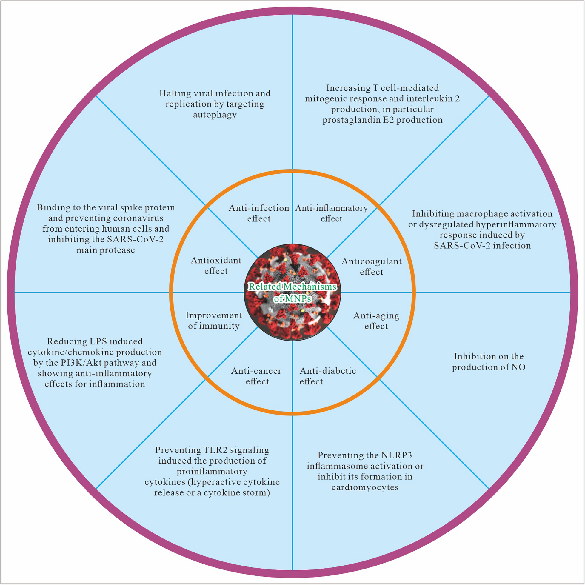 Marine natural products and human immunity: novel biomedical resources for anti-infection of SARS-CoV-2 and related cardiovascular disease