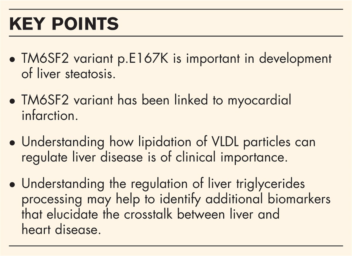 Basic and translational evidence supporting the role of TM6SF2 in VLDL metabolism