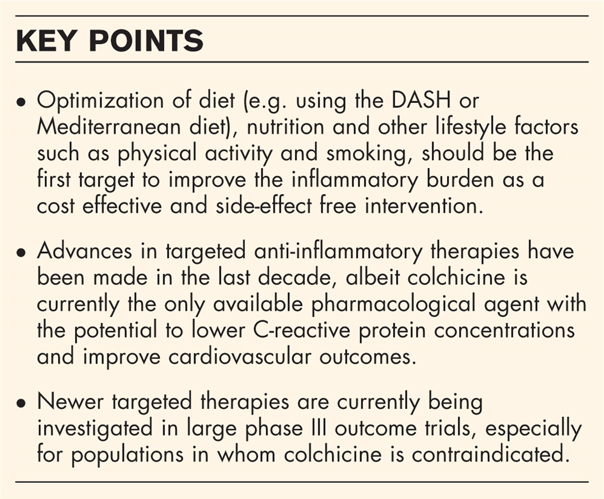 C-reactive protein, pharmacological treatments and diet: how to target your inflammatory burden