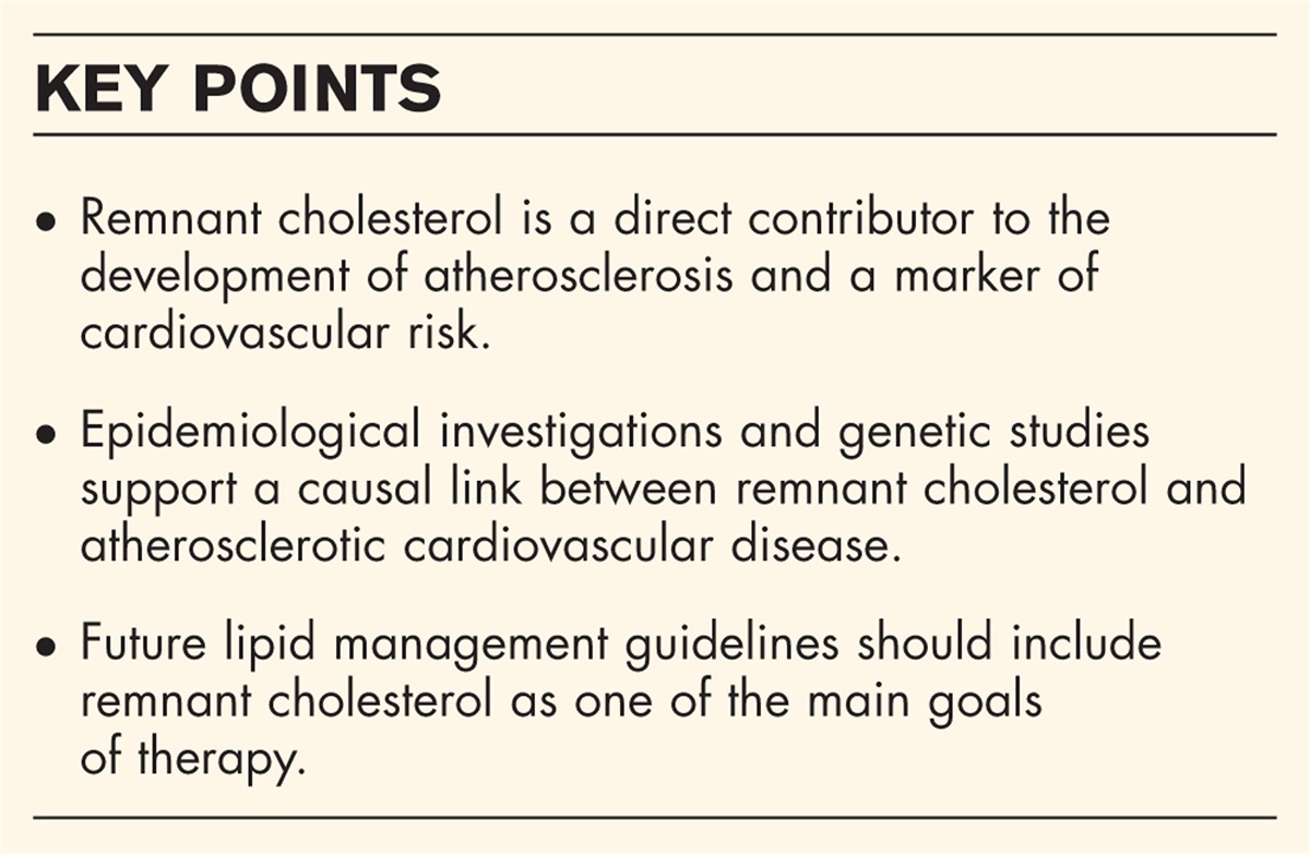 Remnant cholesterol as a new lipid-lowering target to reduce cardiovascular events