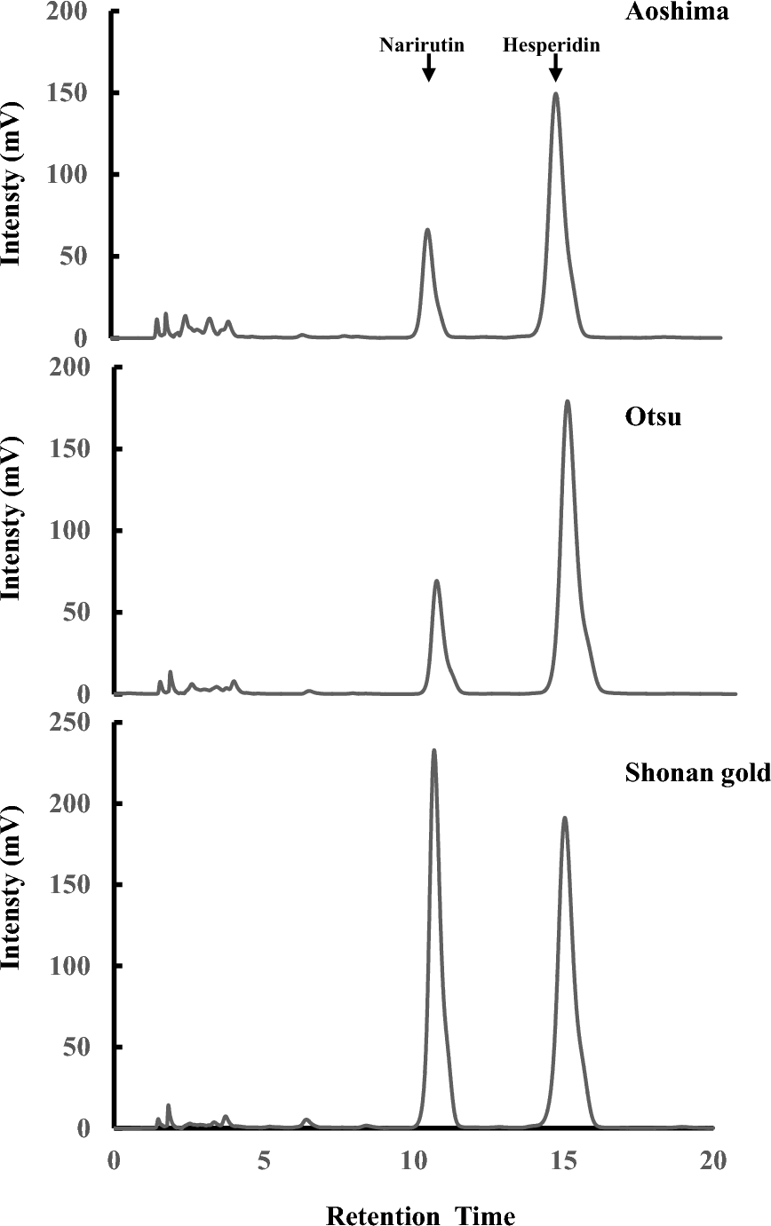 Immature mandarin orange extract increases the amount of hyaluronic acid in human skin fibroblast and keratinocytes