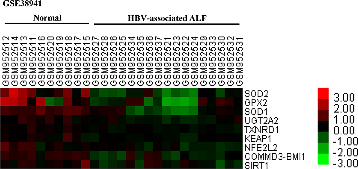 Pyrroloquinoline quinone protects against murine hepatitis virus strain 3-induced fulminant hepatitis by inhibiting the Keap1/Nrf2 signaling