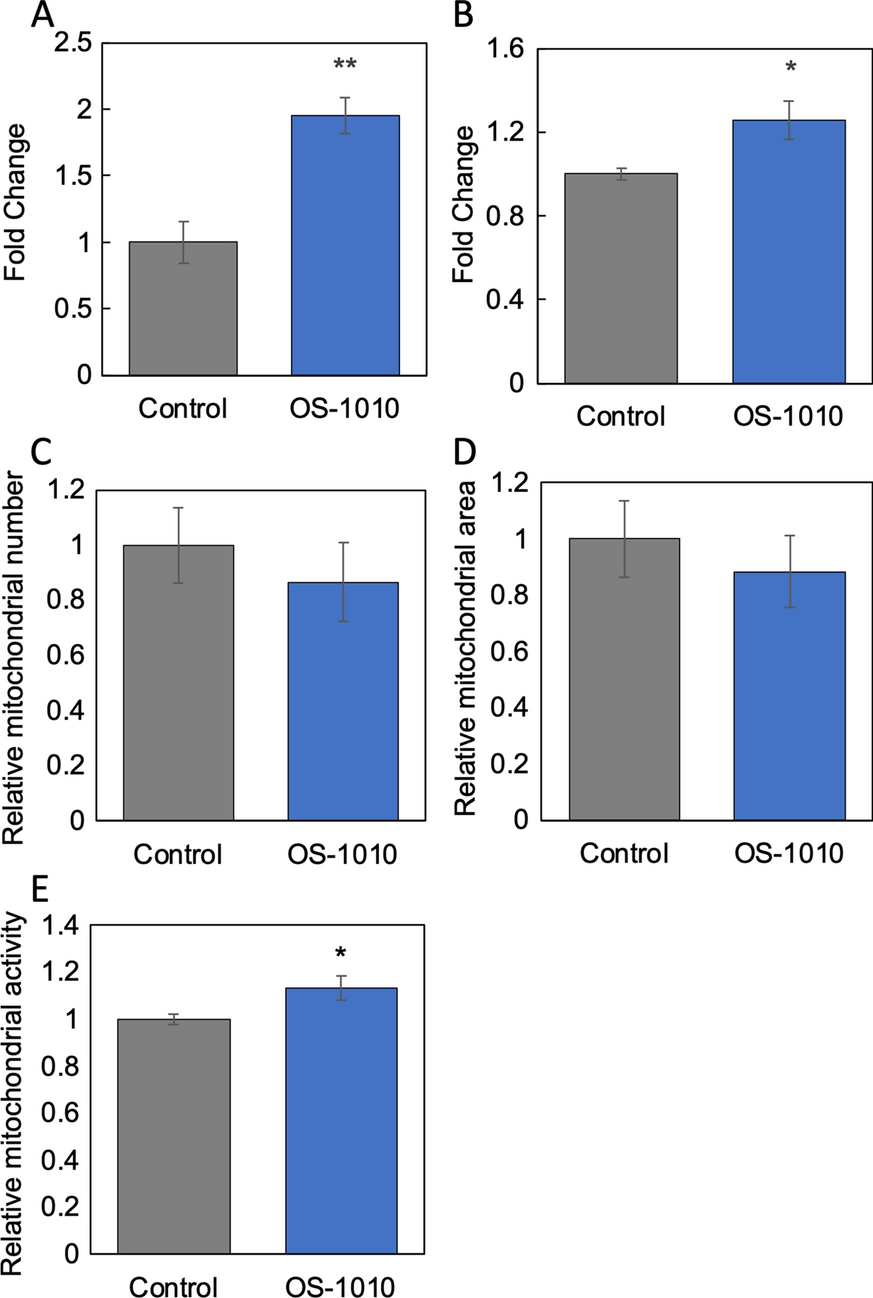 Fructobacillus fructosus OS-1010 strain stimulates intestinal cells to secrete exosomes that activate muscle cells