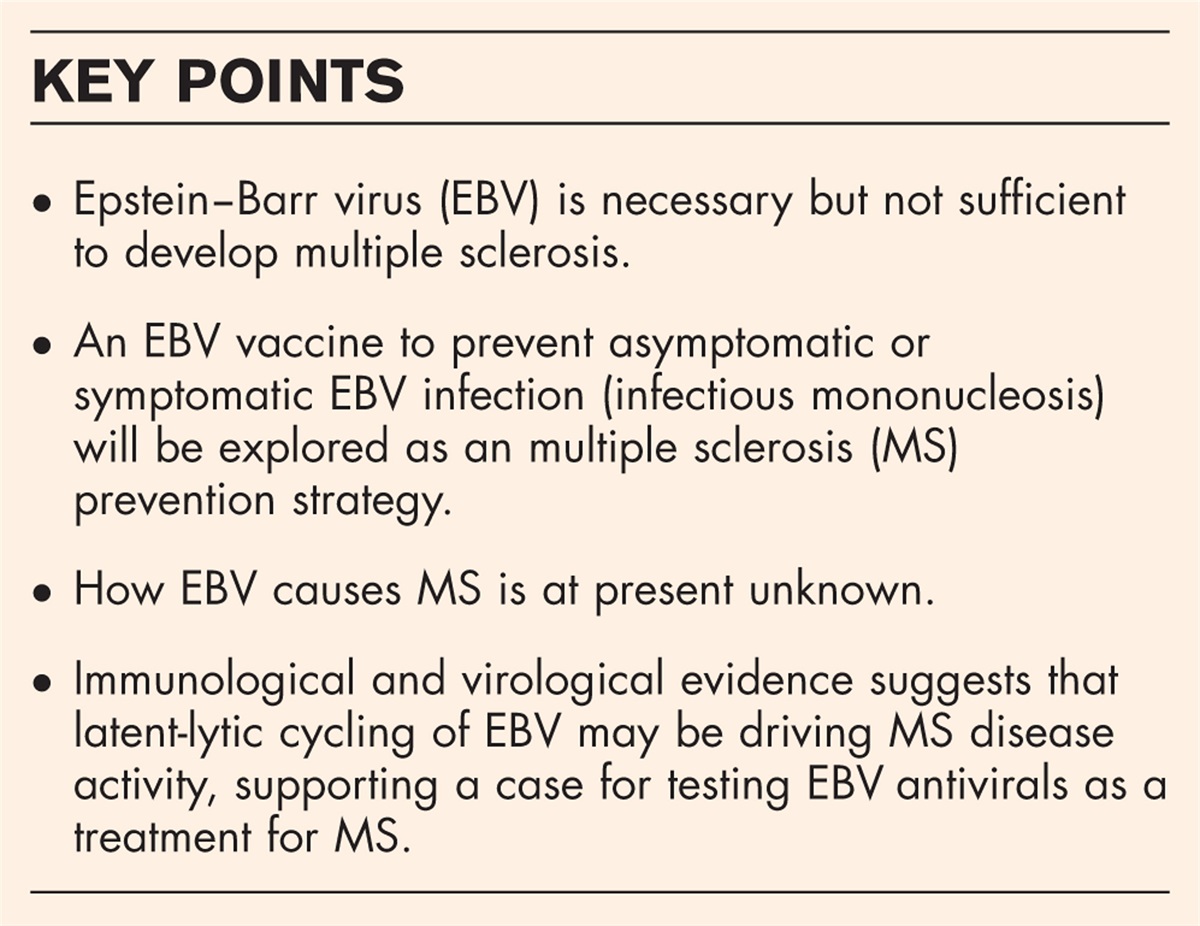 Targeting Epstein–Barr virus in multiple sclerosis: when and how?