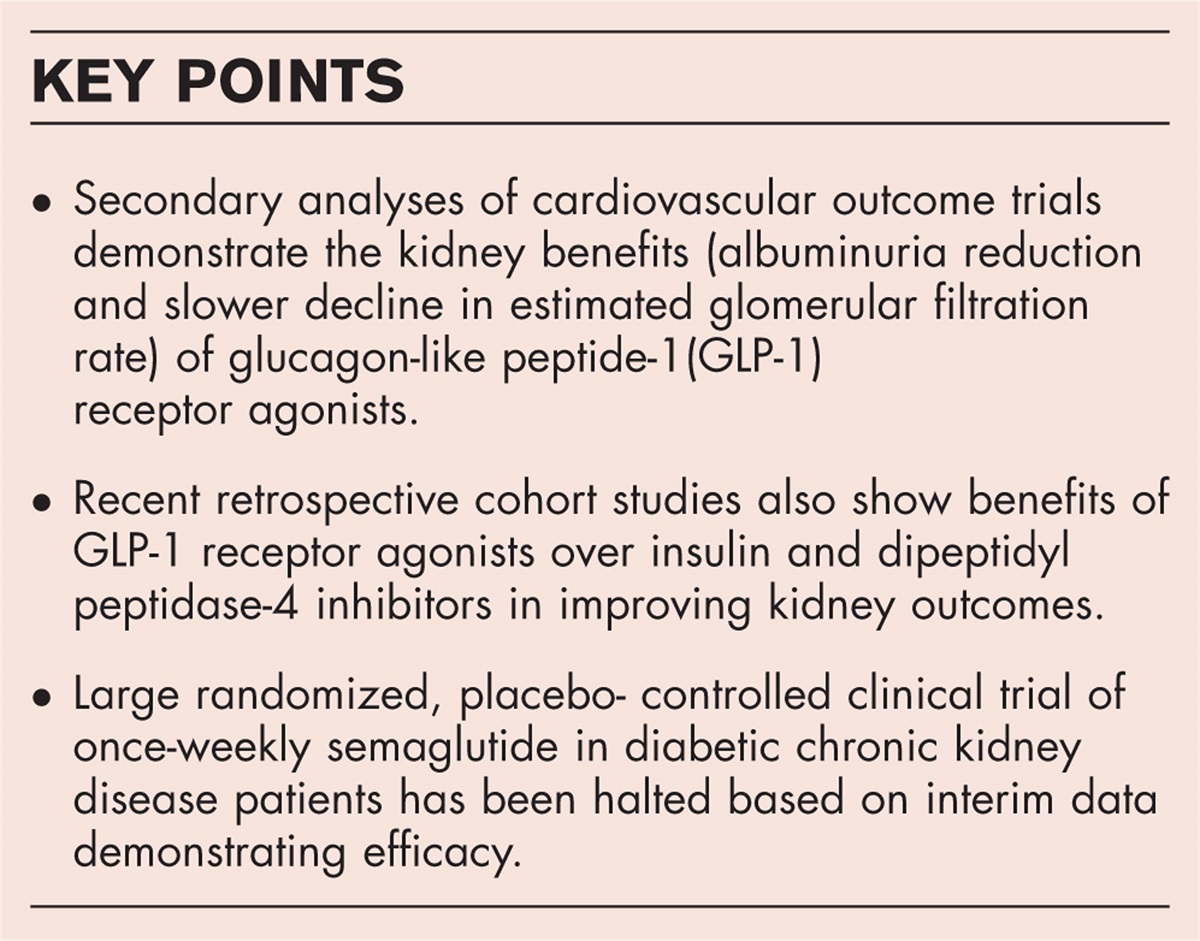 Emerging evidence for glucagon-like peptide-1 agonists in slowing chronic kidney disease progression