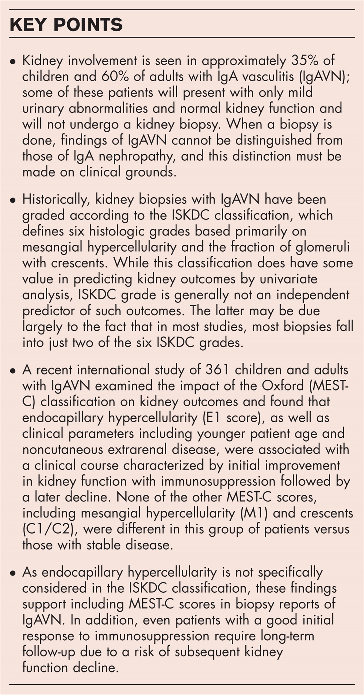 IgA vasculitis nephritis: insights from kidney biopsies